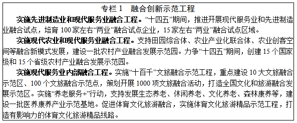 深化信息系統集成服務，賦能“十四五”服務業(yè)高質量發(fā)展